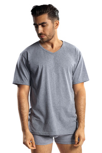 Reviver F5571 T2 Koszulka t-shirt, szary