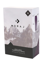 Moraj KDT3500-001 Spodnie termoaktywne, violet